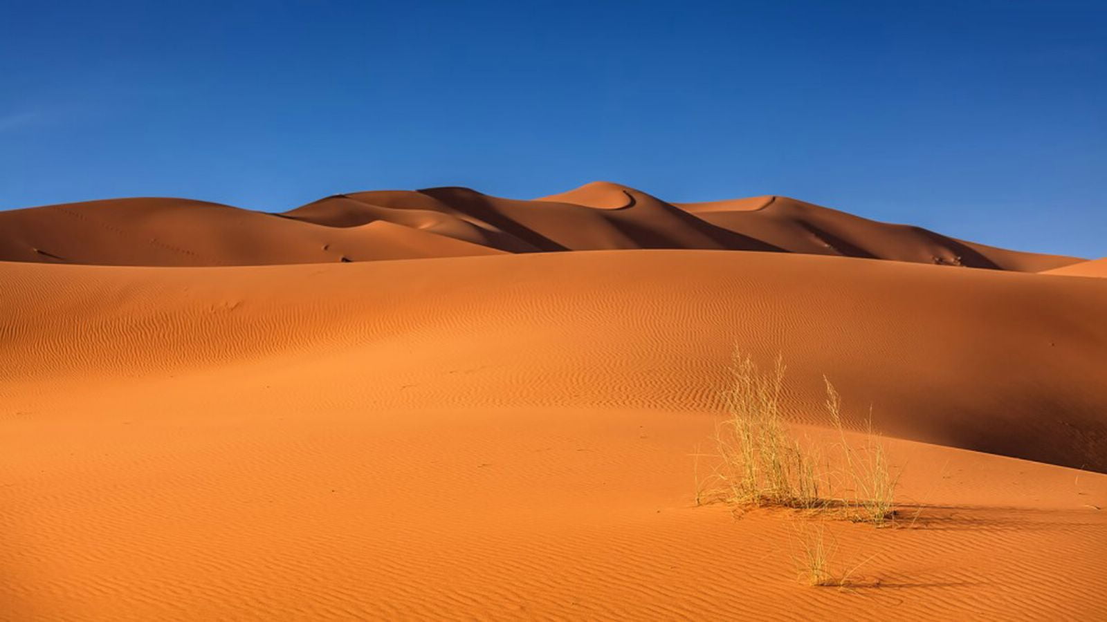 Подробнее о статье Необычный прогноз погоды: почему в пустыне не идут дожди