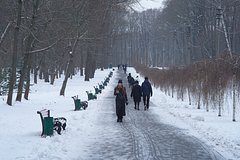 Подробнее о статье Синоптик пообещал русские морозы на новогодних праздниках