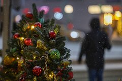Подробнее о статье Синоптик рассказал о погоде в новогоднюю ночь